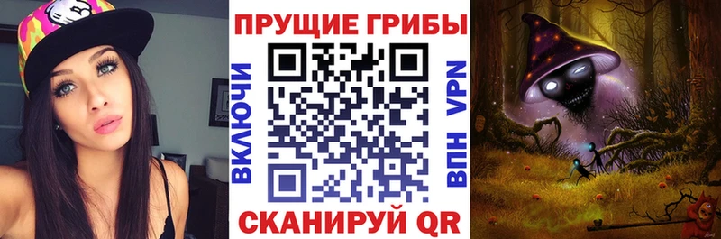 Псилоцибиновые грибы прущие грибы  Купить закладки  Очёр 